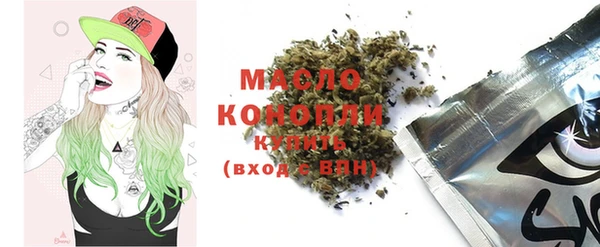 гашик Верея