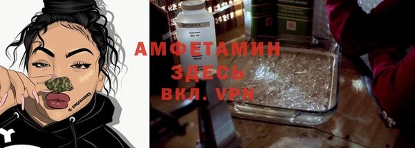 гашик Верея