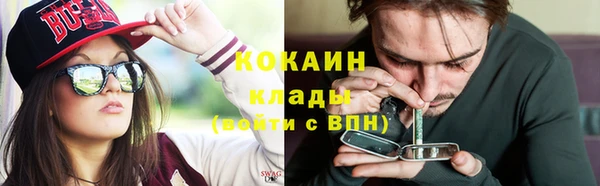 гашик Верея