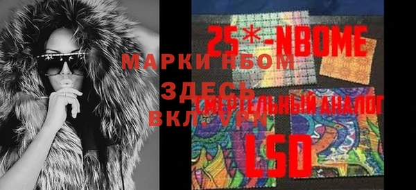 гашик Верея
