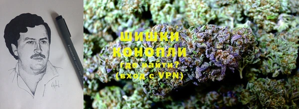 гашик Верея