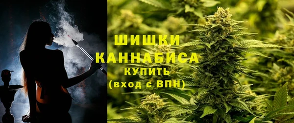 гашик Верея