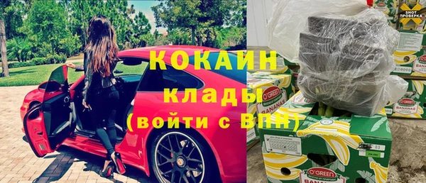 гашик Верея