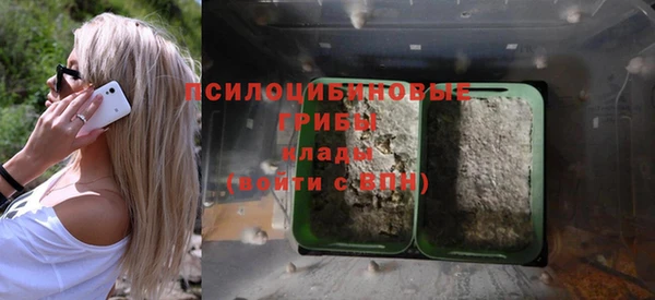 гашик Верея